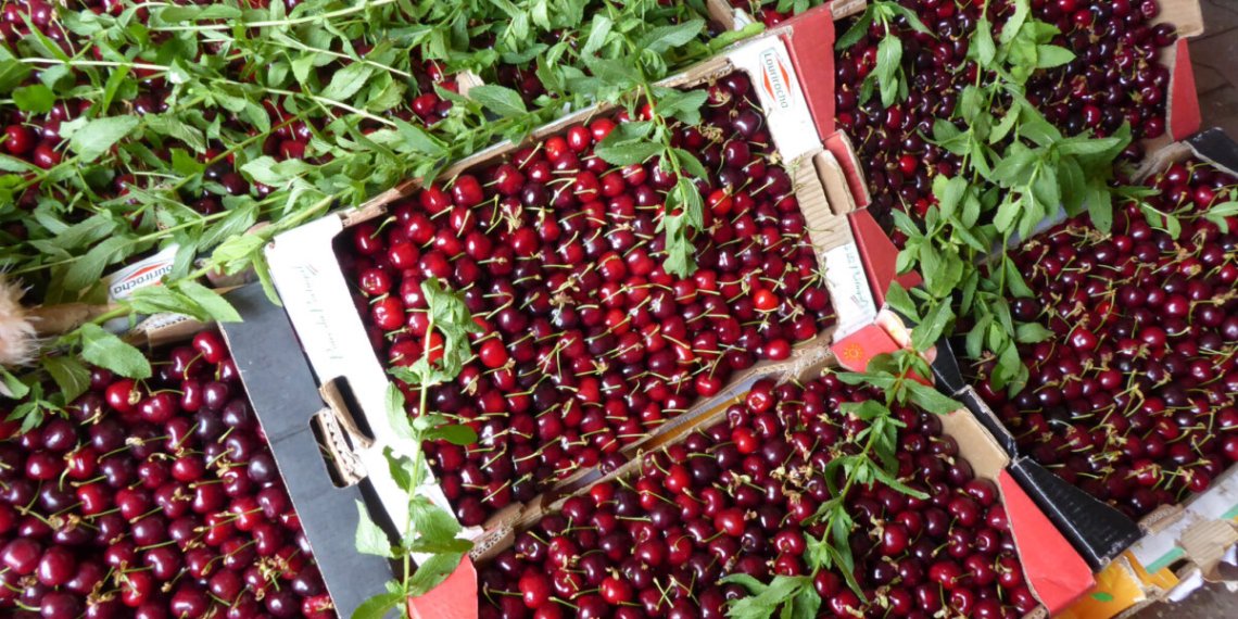 excursión a Sefrou desde Fez