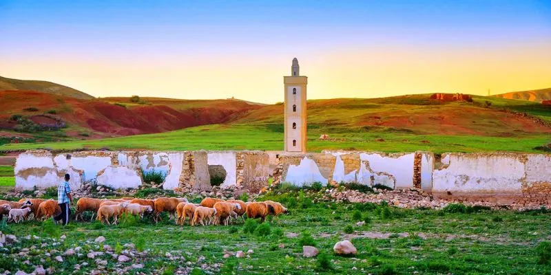 Excursión a Azrou desde Fez