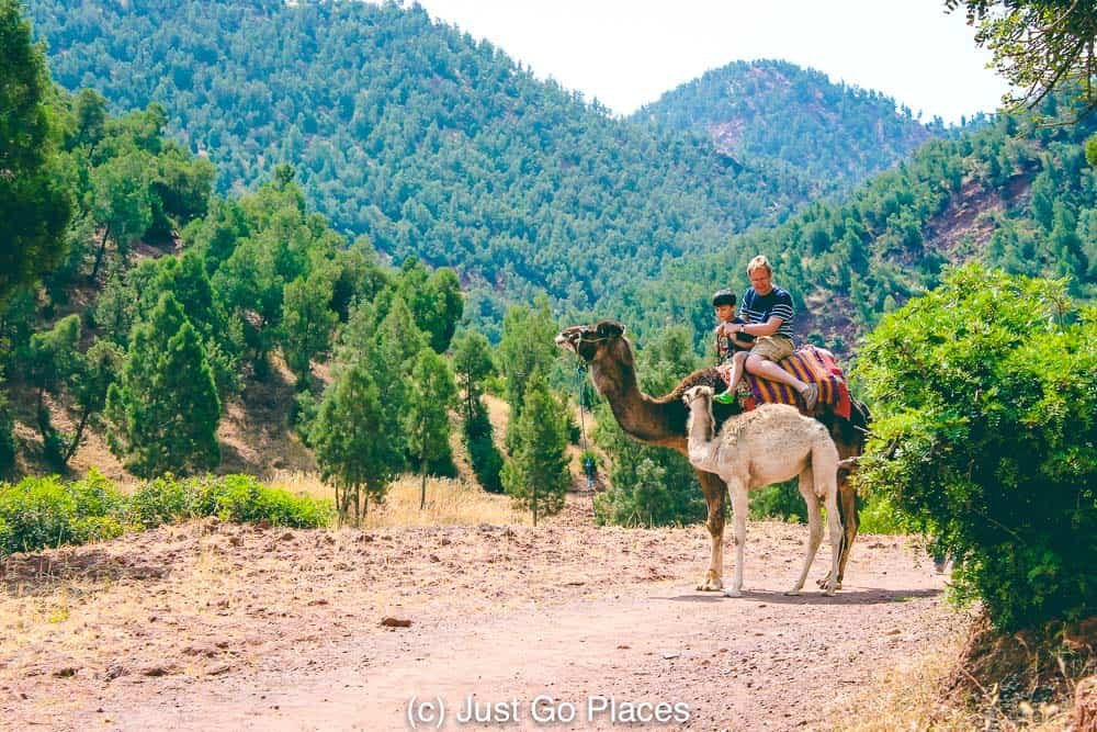 excursión privada al Valle de Ourika