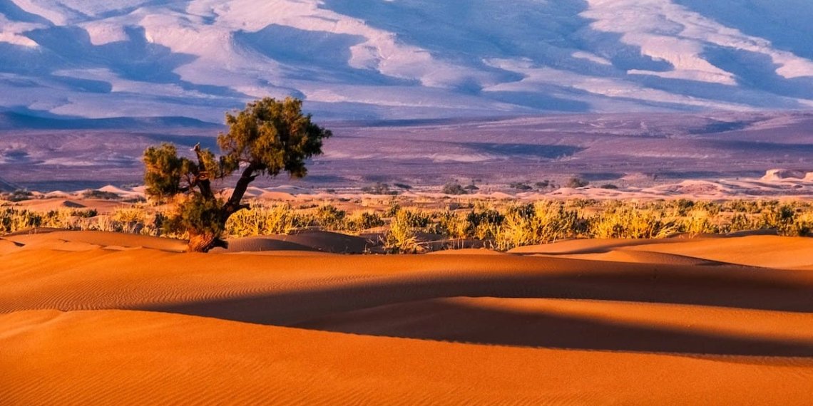 4 Días desde Agadir al Desierto de Zagora