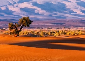 4 Días desde Agadir al Desierto de Zagora