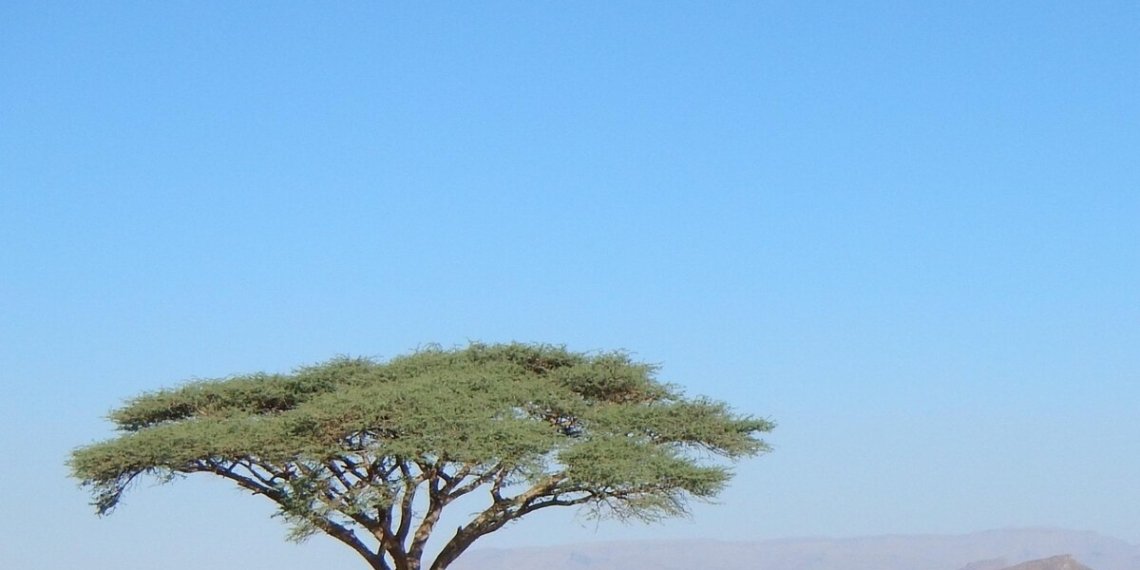 6 Días desde Agadir al Desierto de Merzouga