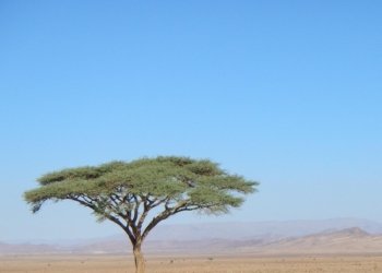 6 Días desde Agadir al Desierto de Merzouga