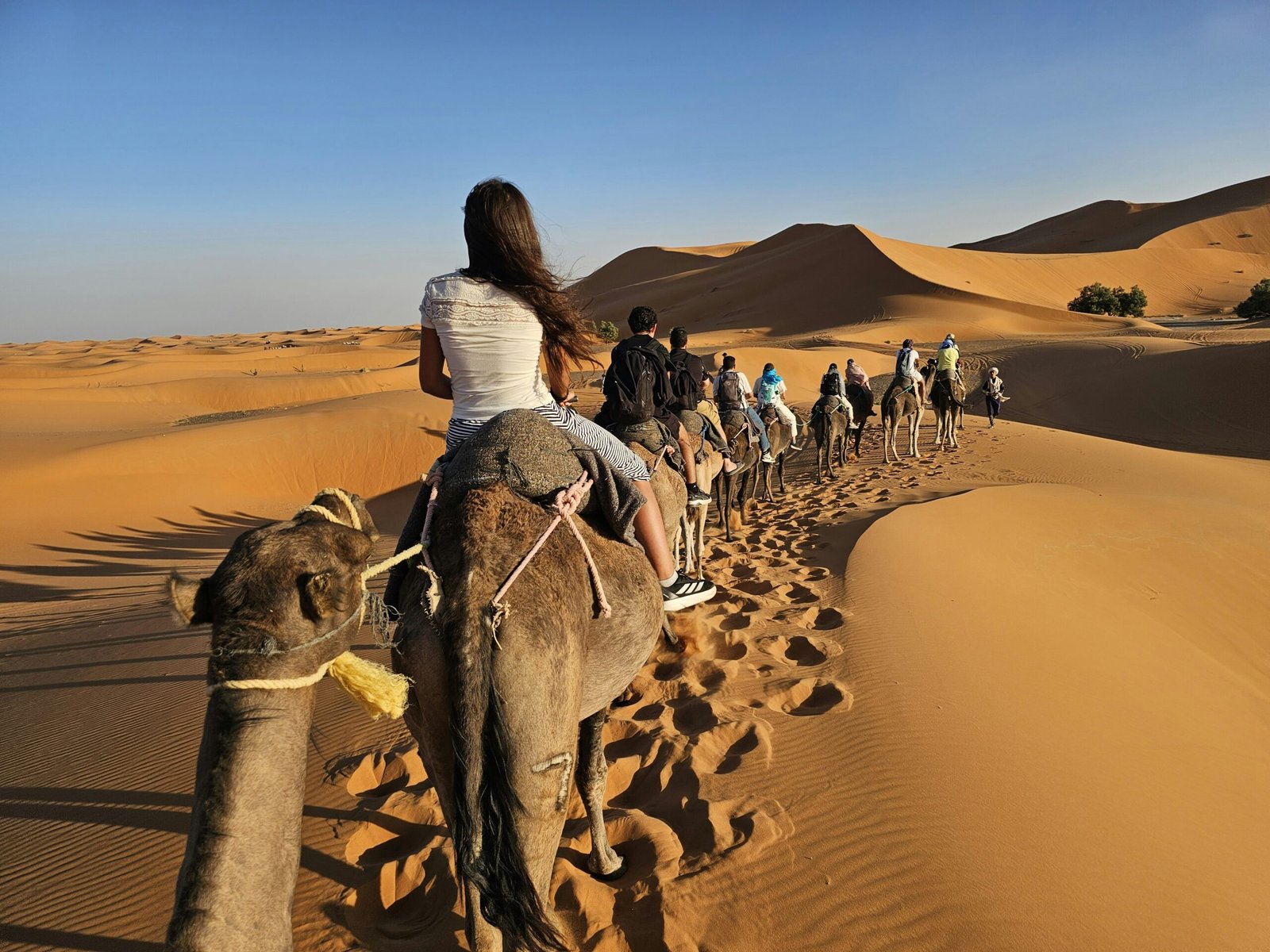 Presupuesto para viajar a Marruecos: tour del desierto del Sahara en dromedario